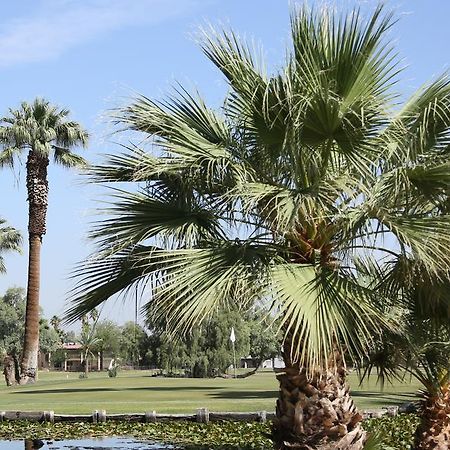 Barbara Worth Golf Resort Holtville Exterior foto